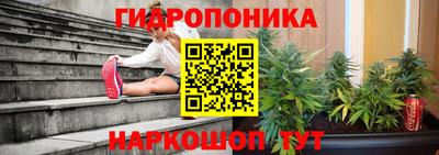 PSILOCYBIN Аргун