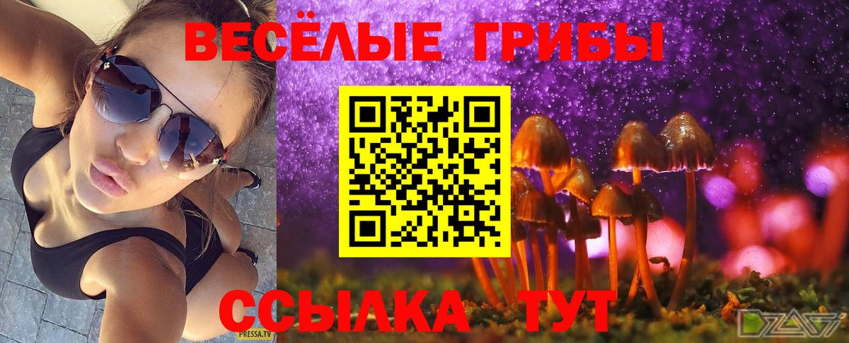 Галлюциногенные грибы MAGIC MUSHROOMS Белгород