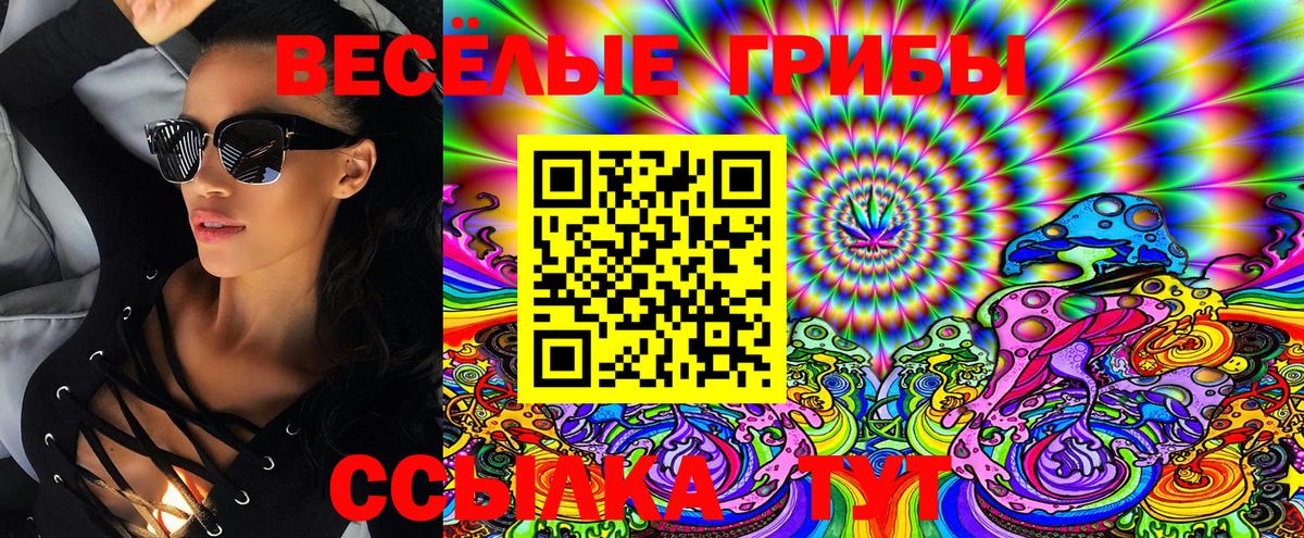 Псилоцибиновые грибы Psilocybine cubensis  где купить наркотик  Белгород  Вход с VPN 