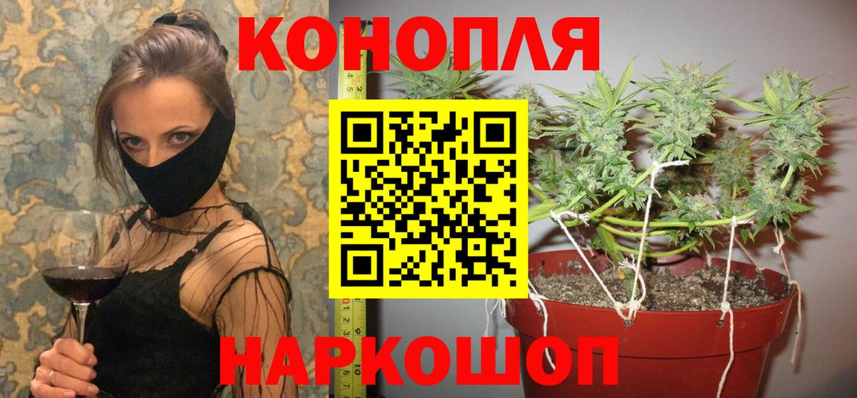 Белгород  Бошки Шишки Amnesia  Вход с VPN  Марихуана Ganja 